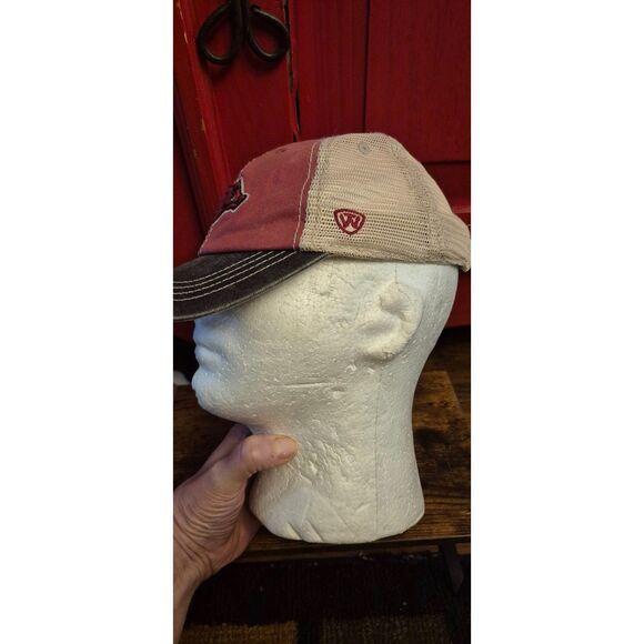 Arkansas Razorbacks Youth Size Mesh Back Baseball Cap Trucker Cap Snapback EUC - Picture 2 of 4